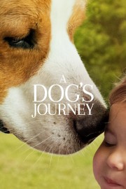 A Dog's Journey-voll