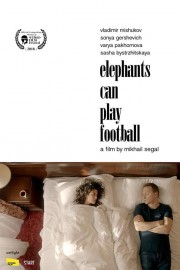 Elephants Can Play Football-voll