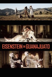 Eisenstein in Guanajuato-voll