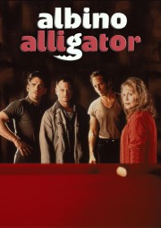 Albino Alligator-voll