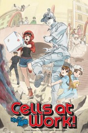 Cells at Work!-voll