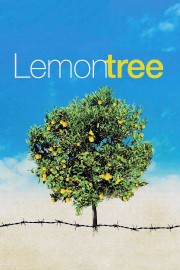 Lemon Tree-voll