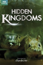 Hidden Kingdoms-voll