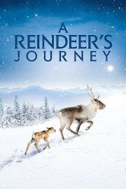 A Reindeer's Journey-voll