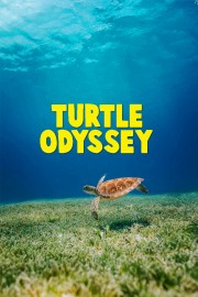 Turtle Odyssey-voll
