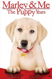 Marley & Me: The Puppy Years-voll
