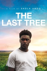 The Last Tree-voll