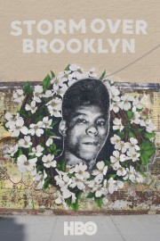 Yusuf Hawkins: Storm Over Brooklyn-voll