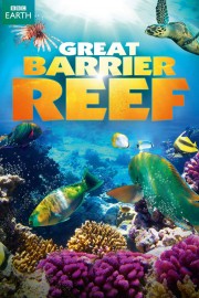 Great Barrier Reef-voll