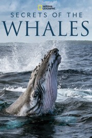 Secrets of the Whales-voll