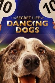 The Secret Life of Dancing Dogs-voll