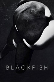 Blackfish-voll