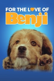 For the Love of Benji-voll