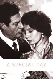A Special Day-voll
