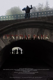 Central Park-voll