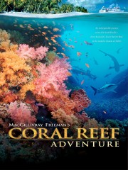 Coral Reef Adventure-voll