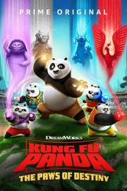 Kung Fu Panda: The Paws of Destiny-voll