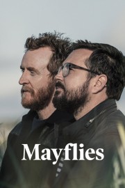Mayflies-voll