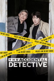 The Accidental Detective-voll