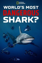 World's Most Dangerous Shark?-voll