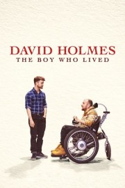 David Holmes: The Boy Who Lived-voll