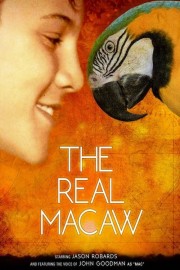 The Real Macaw-voll