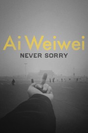 Ai Weiwei: Never Sorry-voll