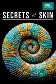 Secrets of Skin-voll