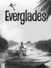 Everglades-voll