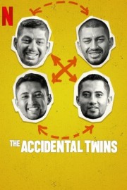 The Accidental Twins-voll