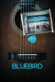 Bluebird-voll
