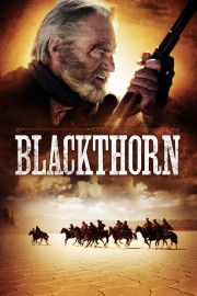 Blackthorn-voll