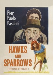 Hawks and Sparrows-voll