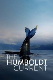 The Humboldt Current-voll