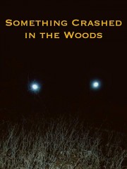 Something Crashed in the Woods-voll