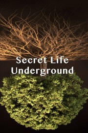 Secret Life Underground-voll