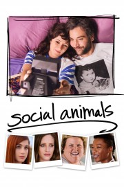 Social Animals-voll