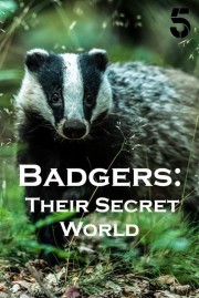 Badgers: Their Secret World-voll
