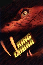 King Cobra-voll