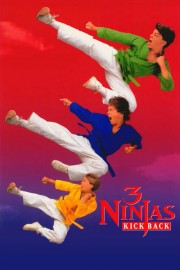 3 Ninjas Kick Back-voll
