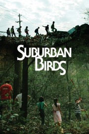 Suburban Birds-voll