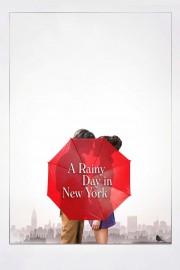 A Rainy Day in New York-voll