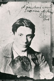 Young Picasso - Exhibition on Screen-voll