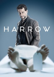 Harrow-voll