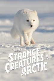 Strange Creatures of the Arctic-voll