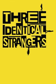 Three Identical Strangers-voll