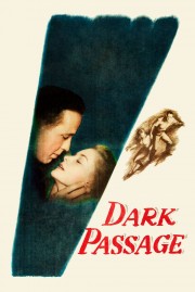 Dark Passage-voll