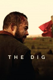 The Dig-voll