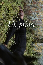 A Prince-voll
