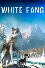 White Fang-voll